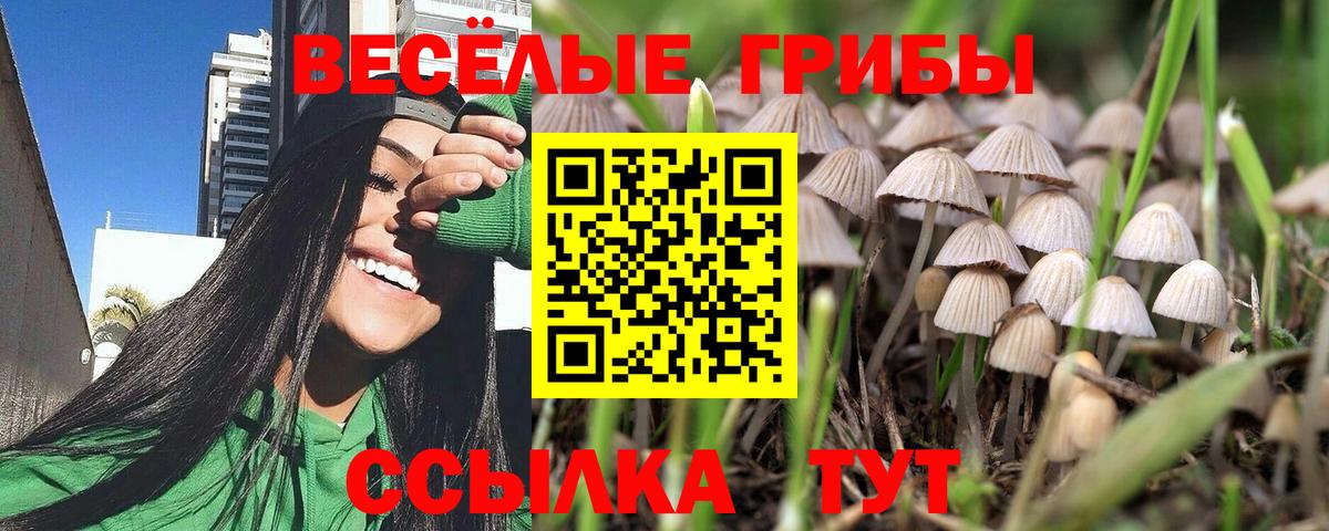 Галлюциногенные грибы прущие грибы Татарск