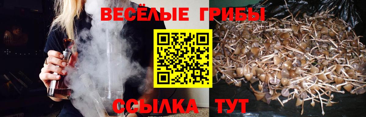 Татарск  купить   Вход с VPN  Псилоцибиновые грибы Magic Shrooms 